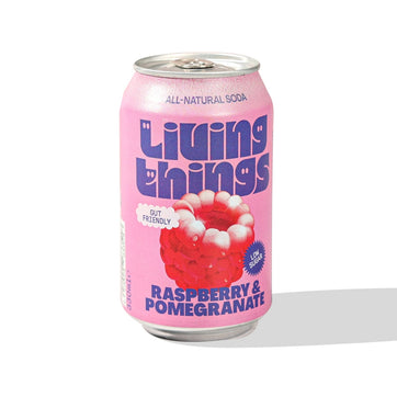 Living Things Prebiotic Soda Raspberry & Pomegranate 1 x 330ml